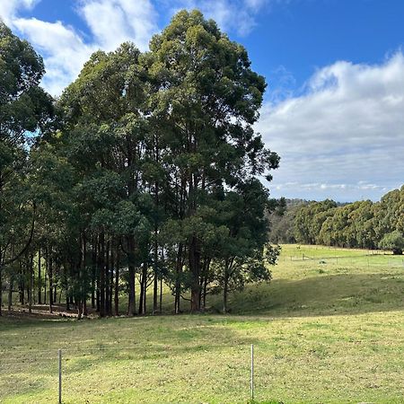 Blueberry Hills On Comleroy Farmstay - Self-Contained Cottages Kurrajong Eksteriør billede