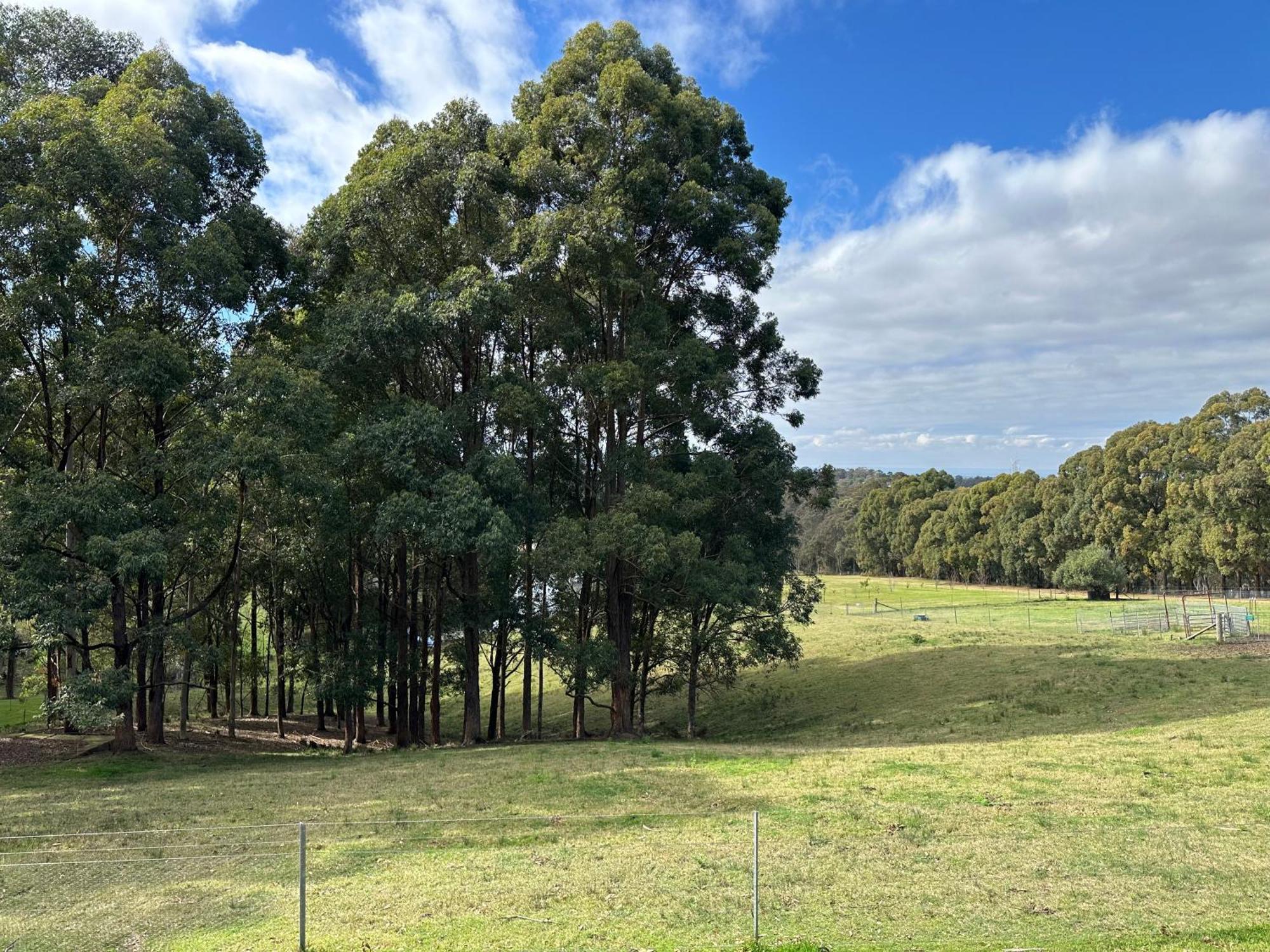 Blueberry Hills On Comleroy Farmstay - Self-Contained Cottages Kurrajong Eksteriør billede