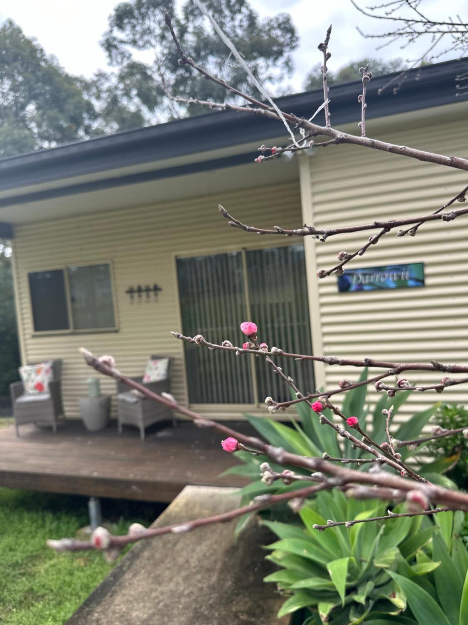 Blueberry Hills On Comleroy Farmstay - Self-Contained Cottages Kurrajong Eksteriør billede