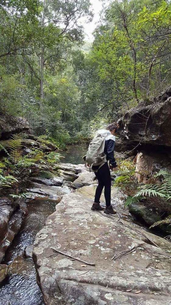 Blueberry Hills On Comleroy Farmstay - Self-Contained Cottages Kurrajong Eksteriør billede