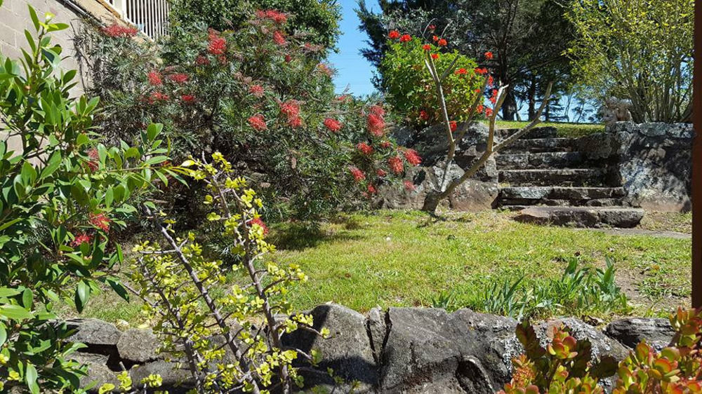 Blueberry Hills On Comleroy Farmstay - Self-Contained Cottages Kurrajong Eksteriør billede