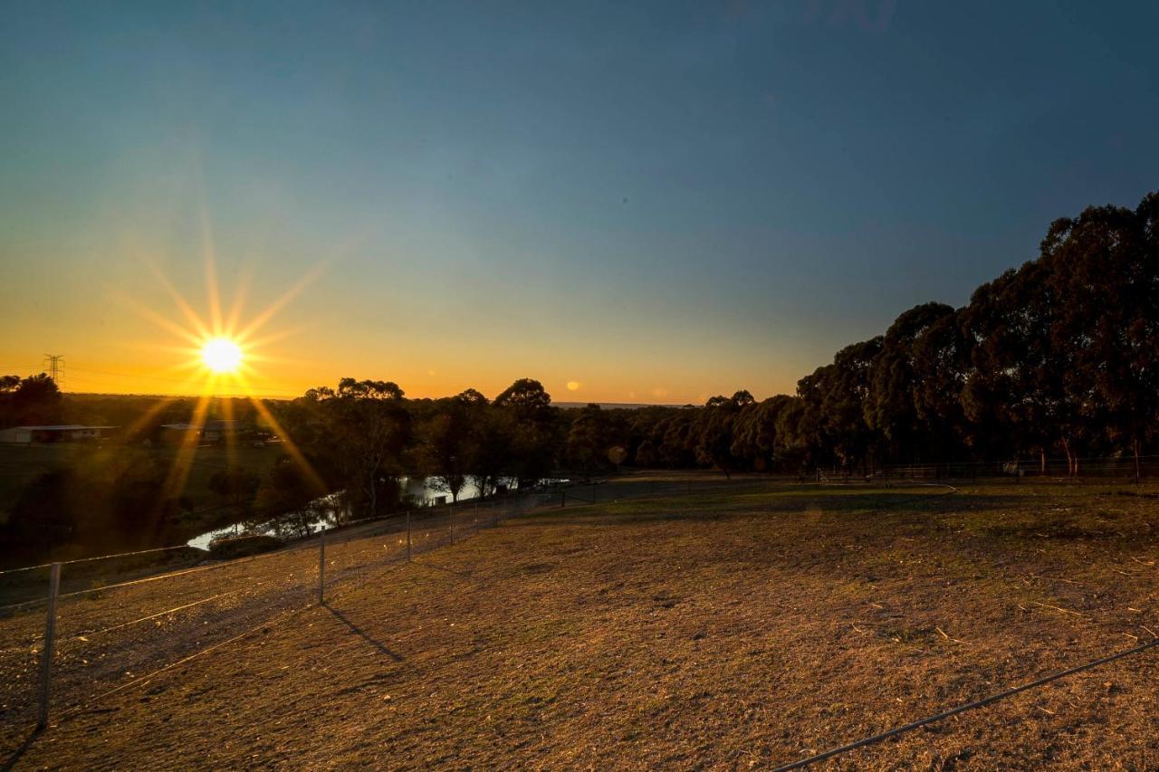 Blueberry Hills On Comleroy Farmstay - Self-Contained Cottages Kurrajong Eksteriør billede