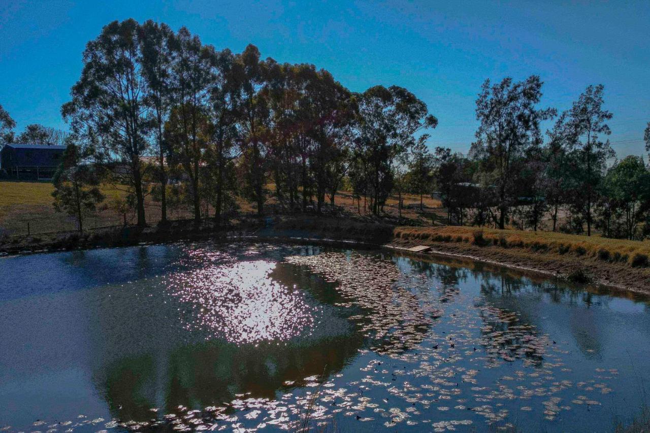 Blueberry Hills On Comleroy Farmstay - Self-Contained Cottages Kurrajong Eksteriør billede