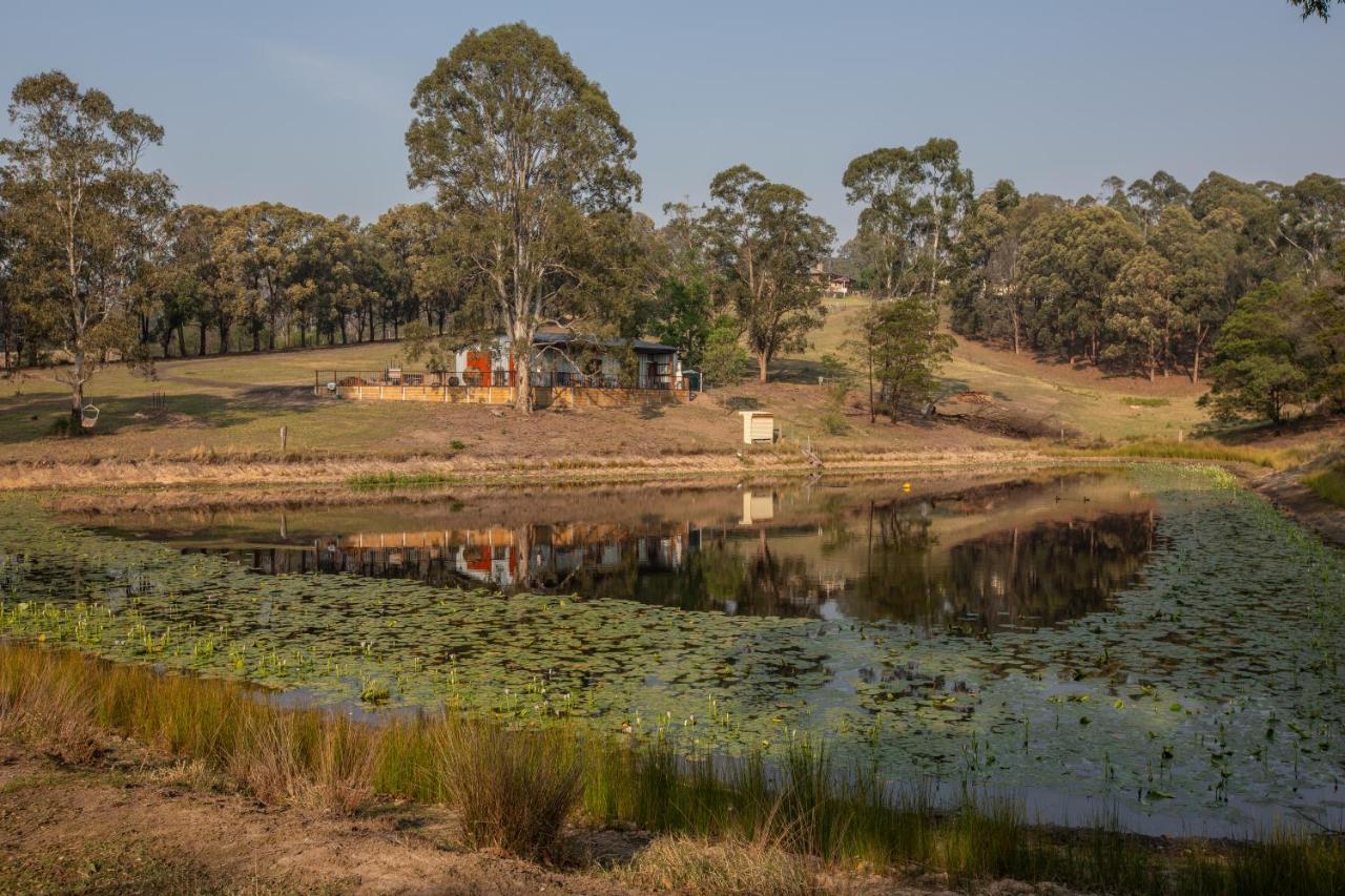 Blueberry Hills On Comleroy Farmstay - Self-Contained Cottages Kurrajong Eksteriør billede